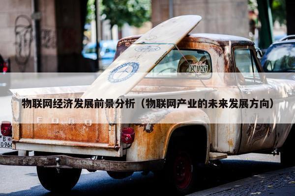 物联网经济发展前景分析(物联网产业的未来发展方向) 物联网经济发展前景分析(物联网产业的未来发展方向)