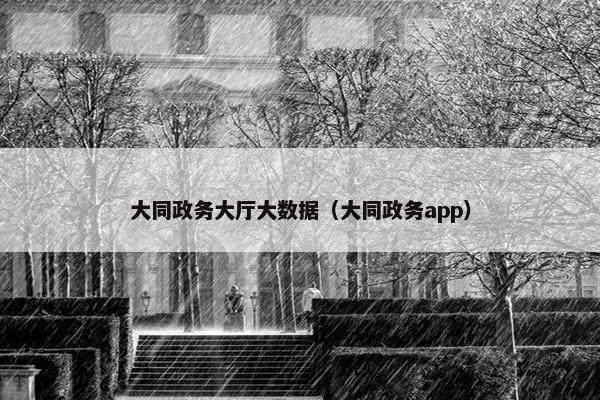 大同政务大厅大数据(大同政务app) 大同政务大厅大数据(大同政务app)