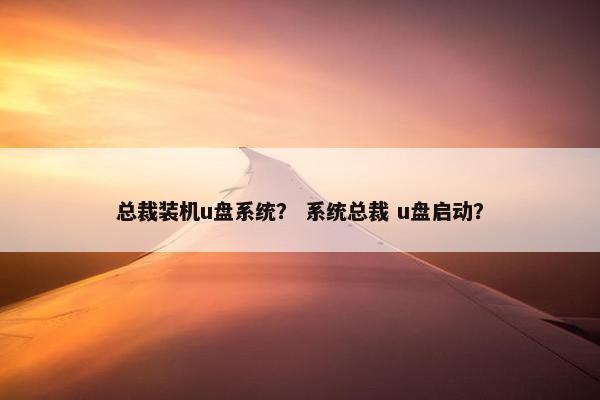 总裁装机u盘系统? 系统总裁 u盘启动? 总裁装机u盘系统? 系统总裁 u盘启动?