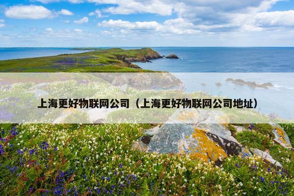 上海更好物联网公司(上海更好物联网公司地址) 上海更好物联网公司(上海更好物联网公司地址)