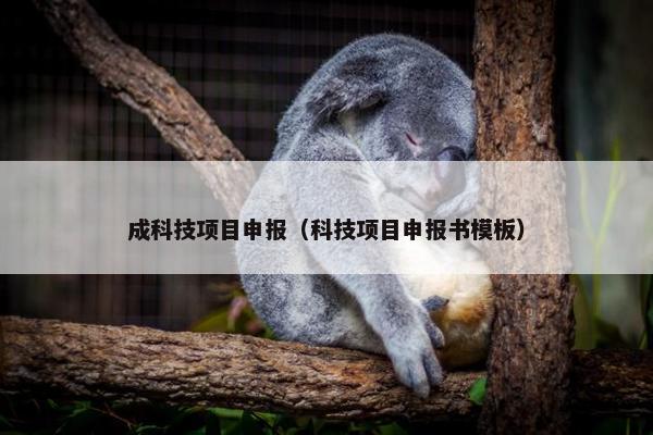 成科技项目申报(科技项目申报书模板) 成科技项目申报(科技项目申报书模板)