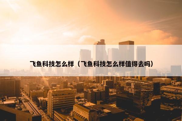 飞鱼科技怎么样(飞鱼科技怎么样值得去吗) 飞鱼科技怎么样(飞鱼科技怎么样值得去吗)
