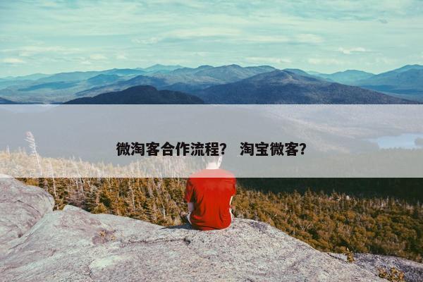微淘客合作流程? 淘宝微客? 微淘客合作流程? 淘宝微客?