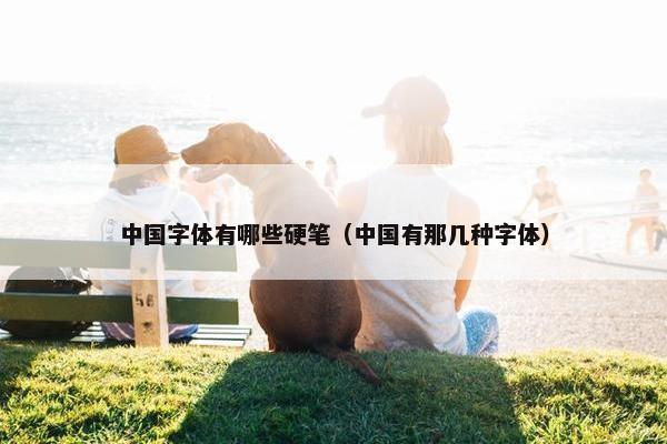 中国字体有哪些硬笔(中国有那几种字体) 中国字体有哪些硬笔(中国有那几种字体)