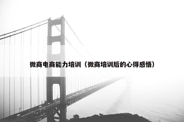 微商电商能力培训(微商培训后的心得感悟) 微商电商能力培训(微商培训后的心得感悟)