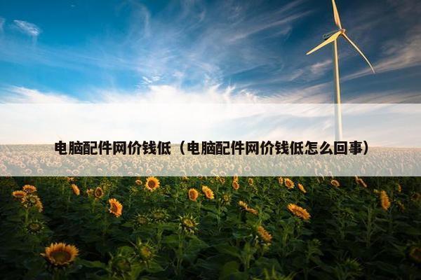 电脑配件网价钱低(电脑配件网价钱低怎么回事) 电脑配件网价钱低(电脑配件网价钱低怎么回事)