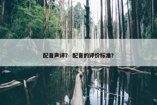 配音声评? 配音的评价标准? 配音声评? 配音的评价标准?