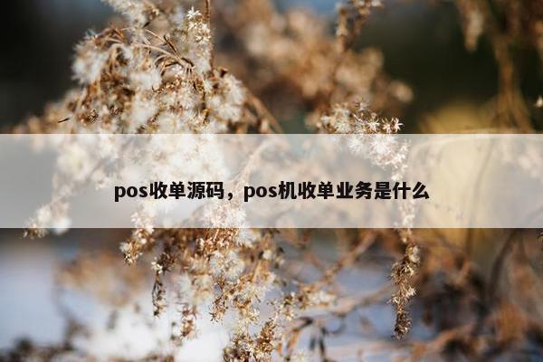 pos收单源码,pos机收单业务是什么 pos收单源码,pos机收单业务是什么