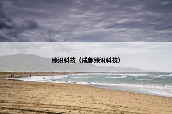 臻识科技(成都臻识科技) 臻识科技(成都臻识科技)