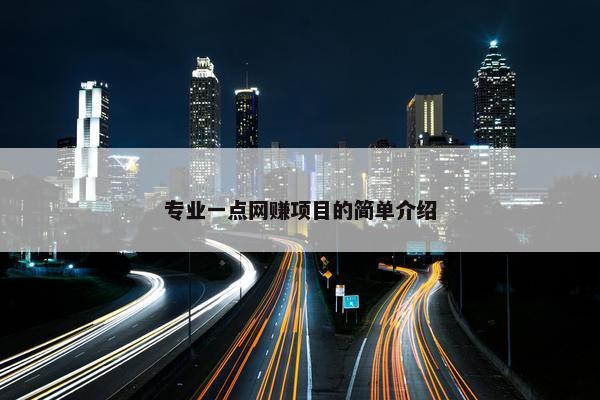 专业一点网赚项目的简单介绍