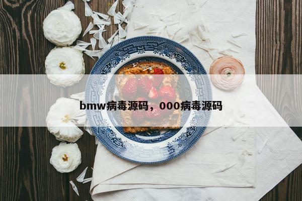bmw病毒源码，000病毒源码