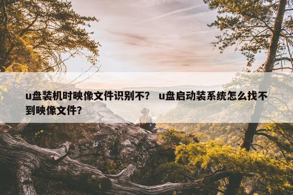 u盘装机时映像文件识别不? u盘启动装系统怎么找不到映像文件? u盘装机时映像文件识别不? u盘启动装系统怎么找不到映像文件?
