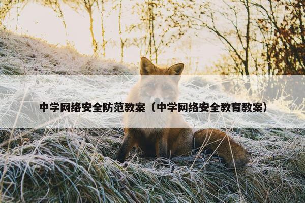 中学网络安全防范教案(中学网络安全教育教案) 中学网络安全防范教案(中学网络安全教育教案)