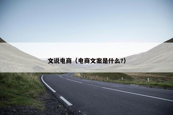 文说电商（电商文案是什么?）