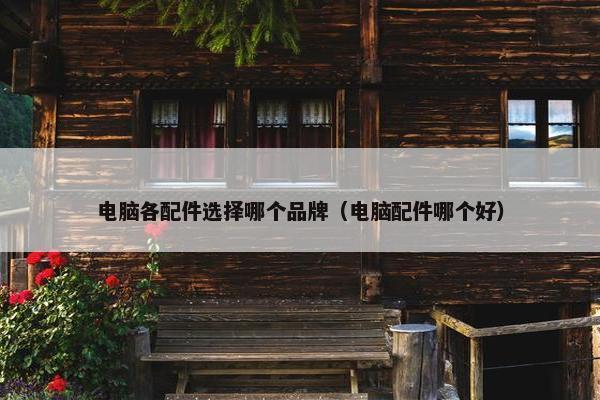 电脑各配件选择哪个品牌(电脑配件哪个好) 电脑各配件选择哪个品牌(电脑配件哪个好)