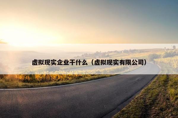虚拟现实企业干什么（虚拟现实有限公司）