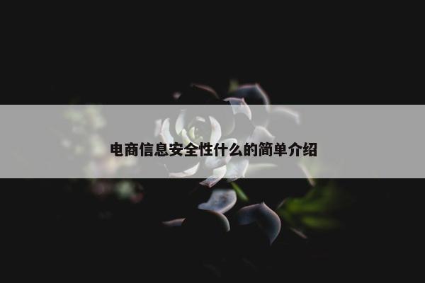电商信息安全性什么的简单介绍