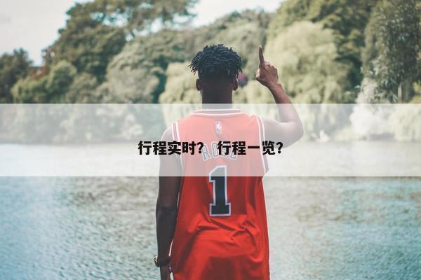 行程实时？ 行程一览？