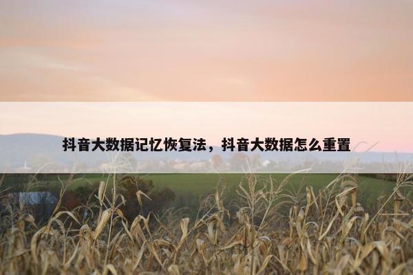 抖音大数据记忆恢复法，抖音大数据怎么重置