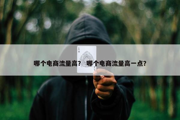 哪个电商流量高? 哪个电商流量高一点? 哪个电商流量高? 哪个电商流量高一点?