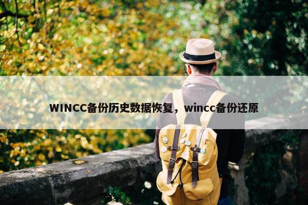WINCC备份历史数据恢复,wincc备份还原 WINCC备份历史数据恢复,wincc备份还原
