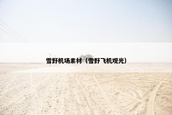雪野机场素材(雪野飞机观光) 雪野机场素材(雪野飞机观光)