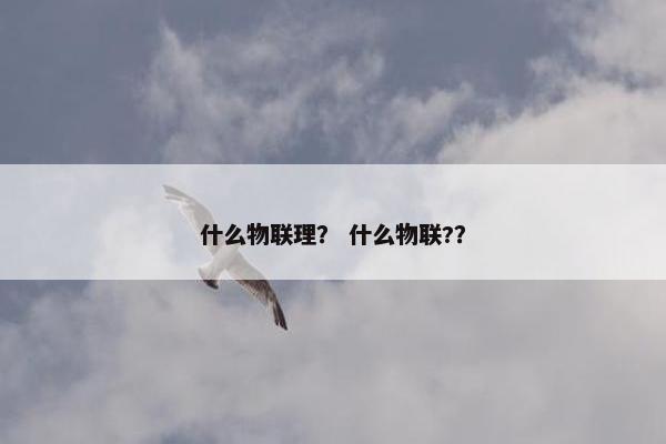 什么物联理？ 什么物联?？
