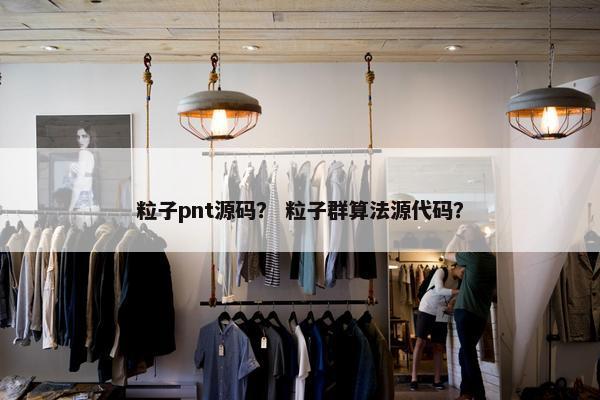 粒子pnt源码? 粒子群算法源代码? 粒子pnt源码? 粒子群算法源代码?