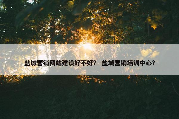 盐城营销网站建设好不好? 盐城营销培训中心? 盐城营销网站建设好不好? 盐城营销培训中心?