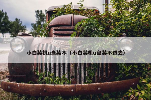 小白装机u盘装不(小白装机u盘装不进去) 小白装机u盘装不(小白装机u盘装不进去)