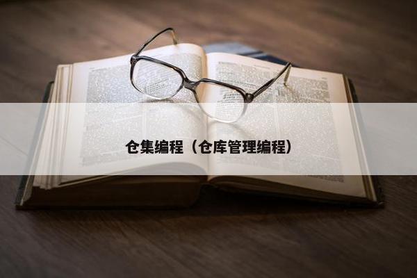 仓集编程（仓库管理编程）
