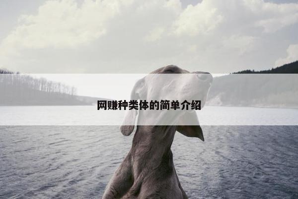 网赚种类体的简单介绍