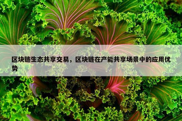 区块链生态共享交易,区块链在产能共享场景中的应用优势 区块链生态共享交易,区块链在产能共享场景中的应用优势