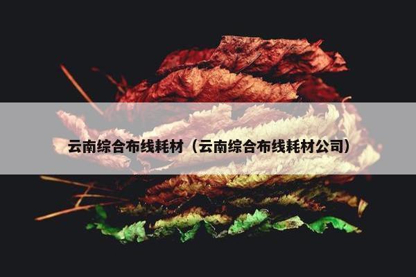 云南综合布线耗材（云南综合布线耗材公司）
