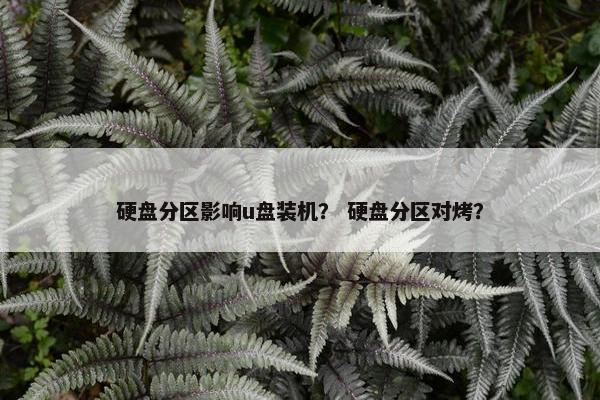硬盘分区影响u盘装机？ 硬盘分区对烤？