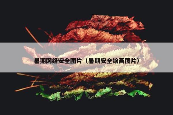 暑期网络安全图片（暑期安全绘画图片）