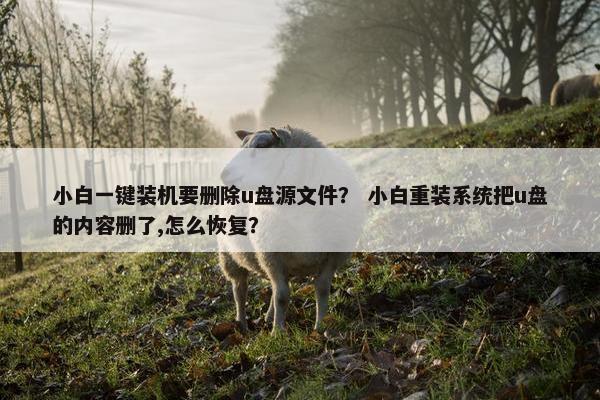 小白一键装机要删除u盘源文件? 小白重装系统把u盘的内容删了,怎么恢复? 小白一键装机要删除u盘源文件? 小白重装系统把u盘的内容删了,怎么恢复?