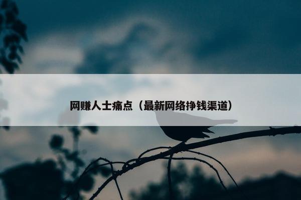 网赚人士痛点（最新网络挣钱渠道）