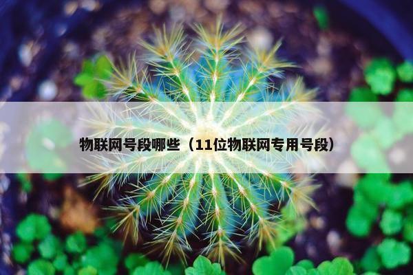 物联网号段哪些(11位物联网专用号段) 物联网号段哪些(11位物联网专用号段)