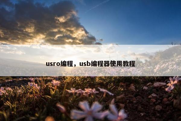 usro编程,usb编程器使用教程 usro编程,usb编程器使用教程