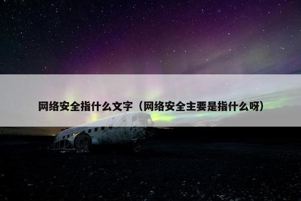 网络安全指什么文字（网络安全主要是指什么呀）