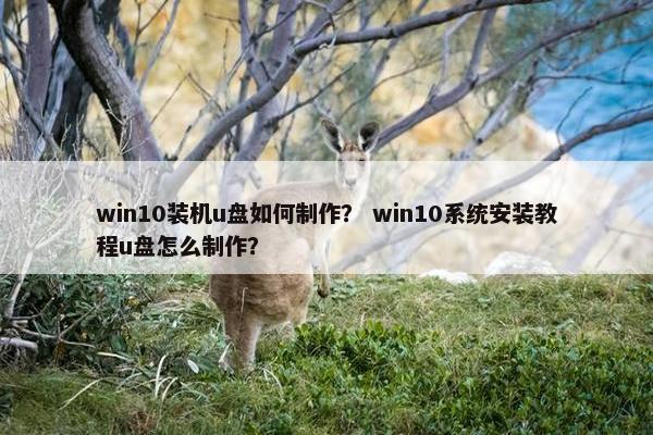 win10装机u盘如何制作？ win10系统安装教程u盘怎么制作？