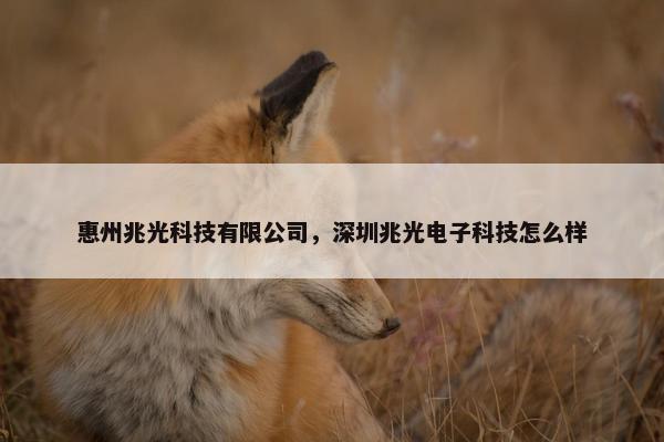 惠州兆光科技有限公司,深圳兆光电子科技怎么样 惠州兆光科技有限公司,深圳兆光电子科技怎么样