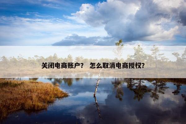 关闭电商账户? 怎么取消电商授权? 关闭电商账户? 怎么取消电商授权?