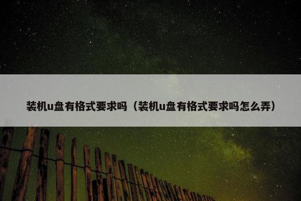 装机u盘有格式要求吗（装机u盘有格式要求吗怎么弄）