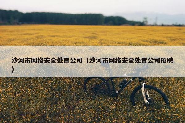 沙河市网络安全处置公司（沙河市网络安全处置公司招聘）