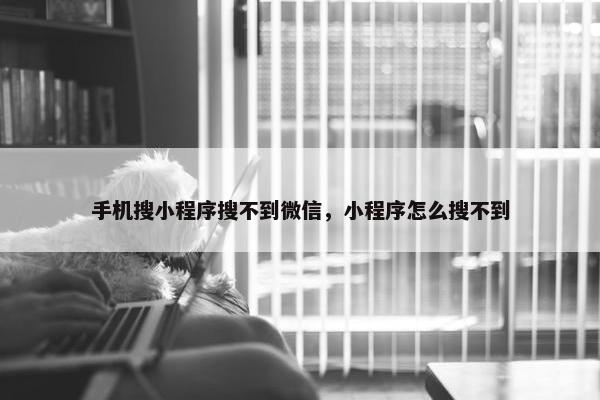 手机搜小程序搜不到微信，小程序怎么搜不到