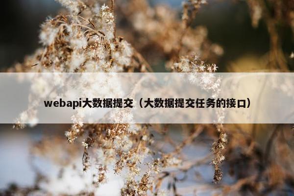webapi大数据提交（大数据提交任务的接口）