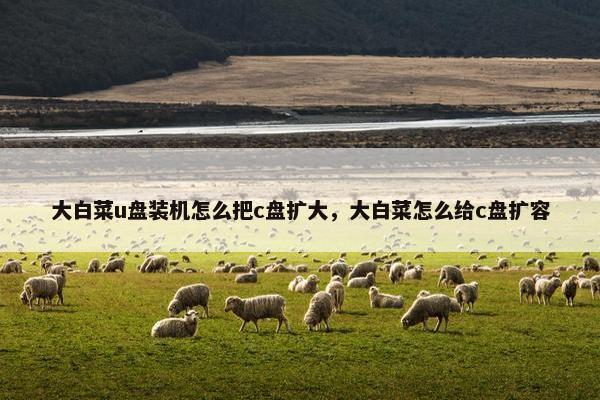 大白菜u盘装机怎么把c盘扩大,大白菜怎么给c盘扩容 大白菜u盘装机怎么把c盘扩大,大白菜怎么给c盘扩容