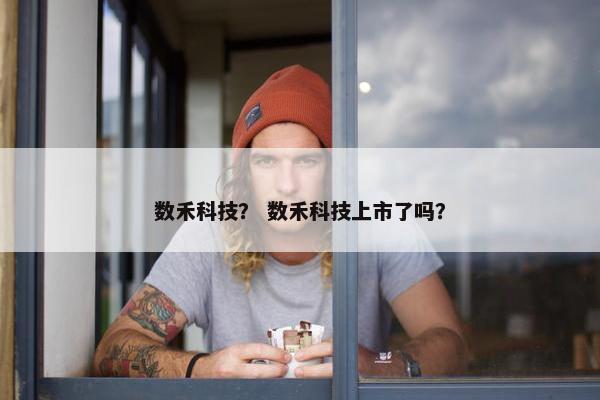 数禾科技? 数禾科技上市了吗? 数禾科技? 数禾科技上市了吗?